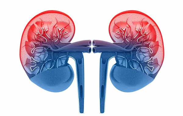 Acute kidney injury care