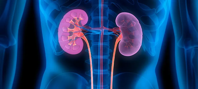 Onco-nephrology support